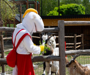 Nowy rozdział w stolicy bajek. Wielka modernizacja Europejskiego Centrum Bajki w Pacanowie