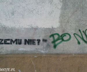 Napisy na łódzkich murach: Sztuka czy wandalizm? Ulica wie swoje...