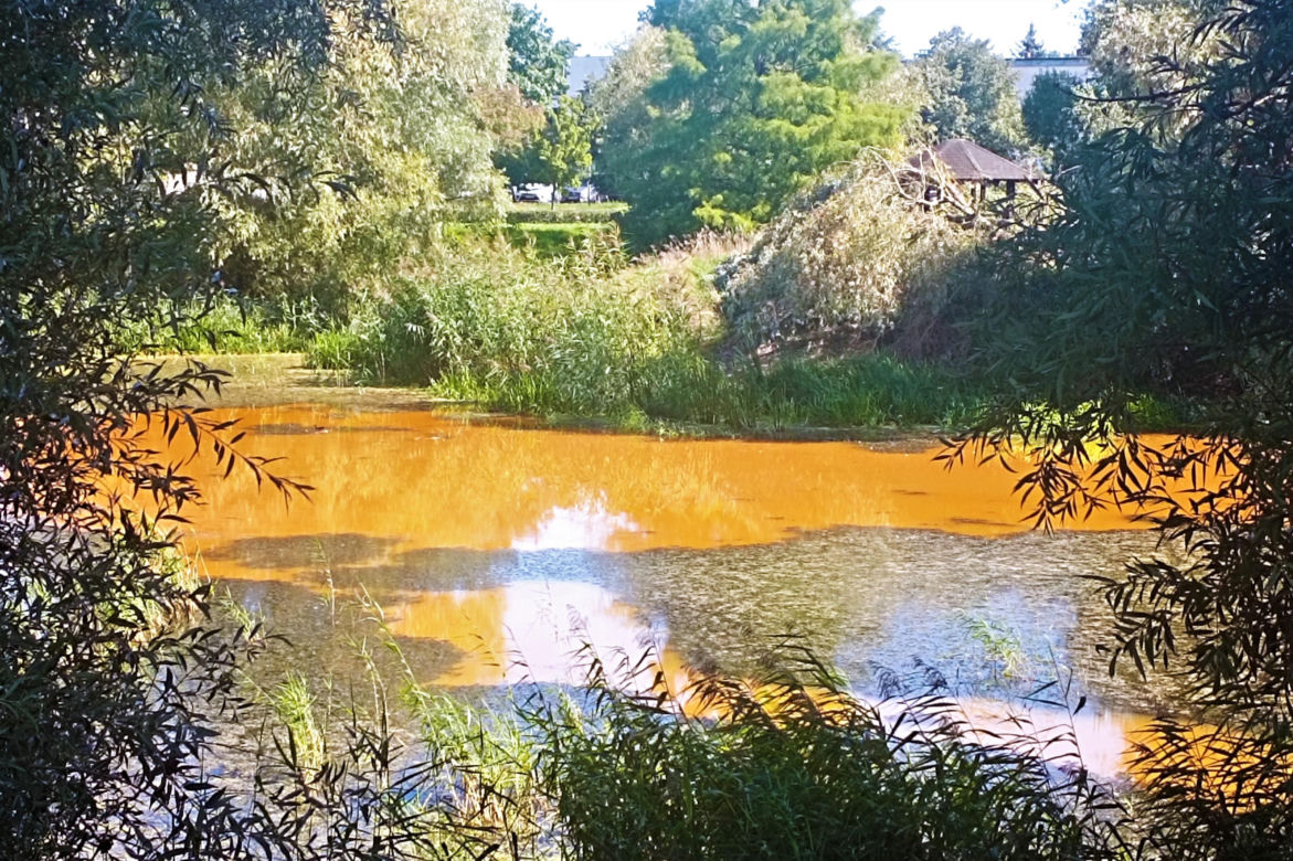 Zanieczyszczone Jezioro Słoneczne