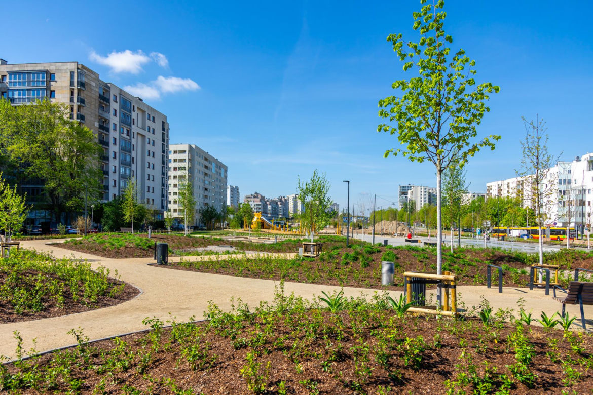 Park nad Południową Obwodnicą Warszawy na Ursynowie