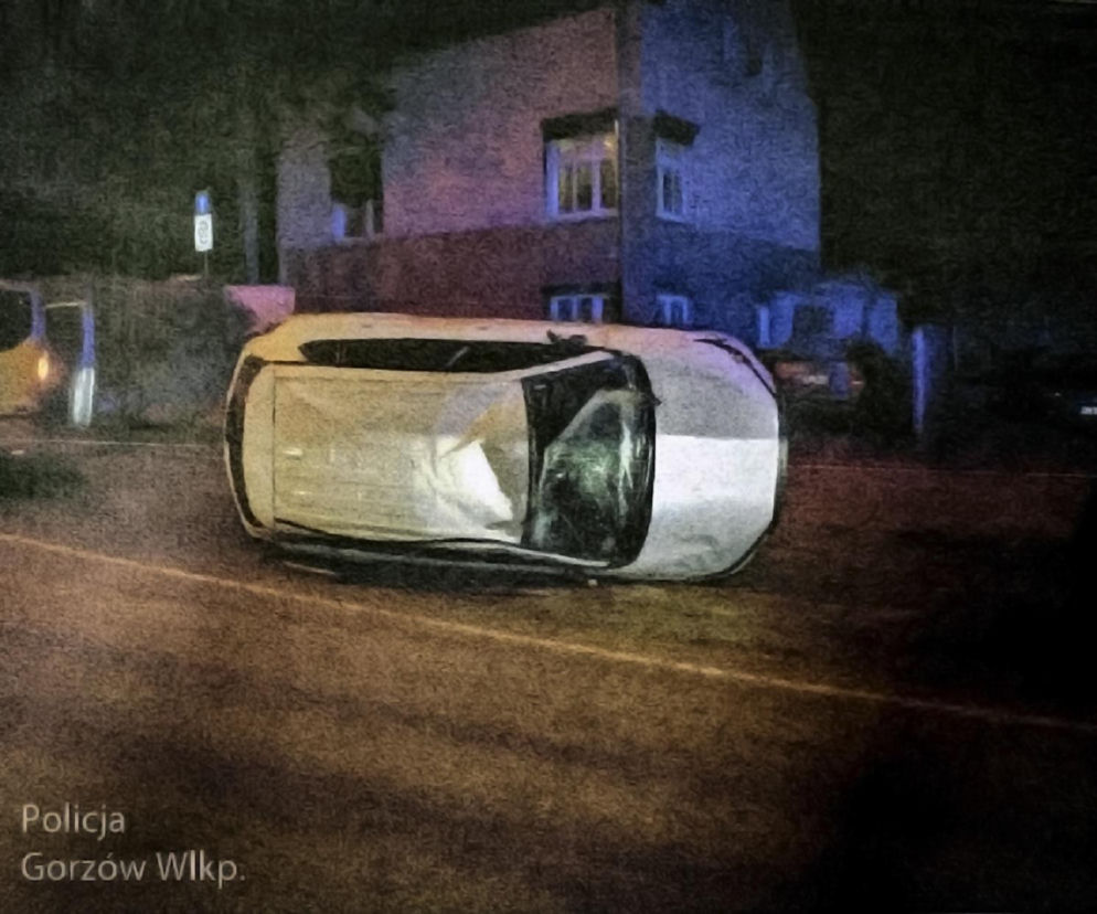 Dachował kradzionym autem, wytropił go policyjny pies