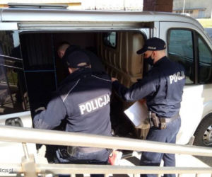 Grupa przestępcza z Otwocka wpadła w ręce Policji