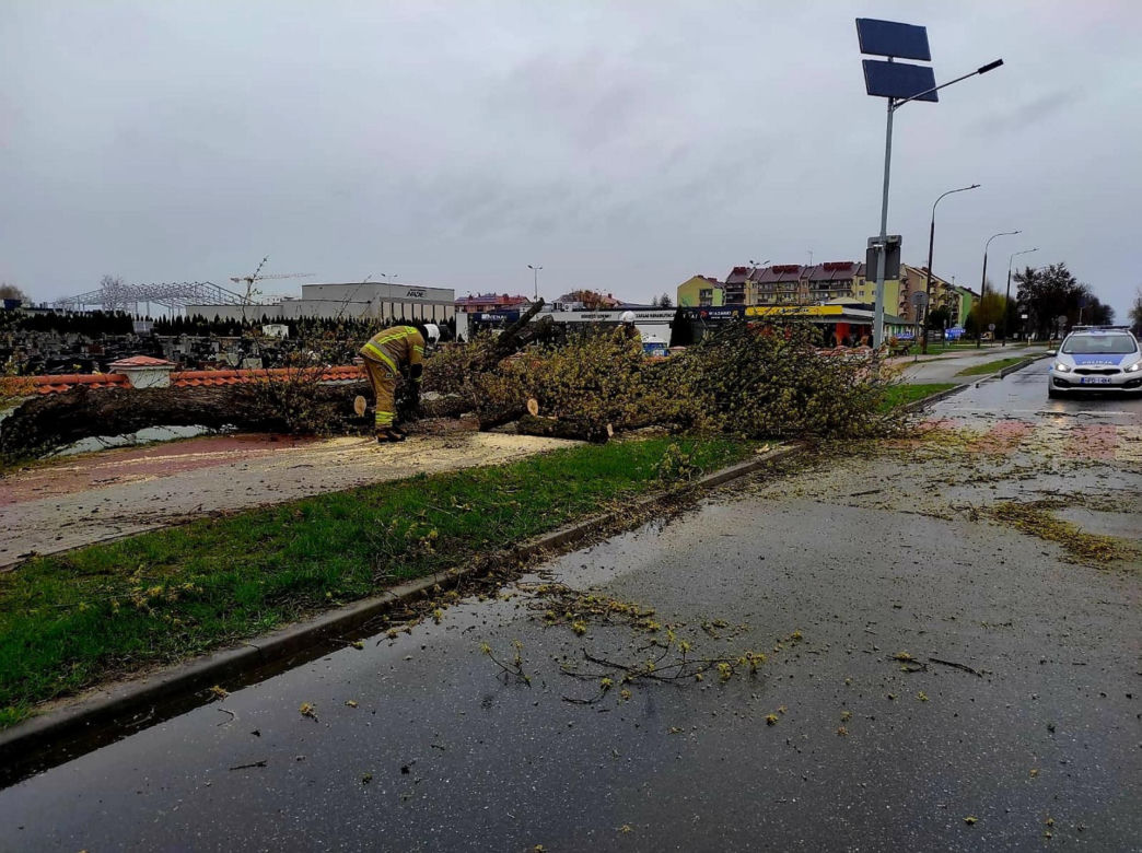 Interwencje Strażaków przy likwidacji szkód spowodowanych przez gwałtowny wiatr i burze