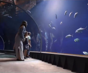 Oceanarium Gdańsk
