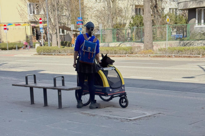 Tak Damięcka dba o psa