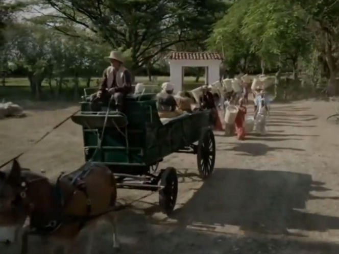 "Niewolnica Victoria"