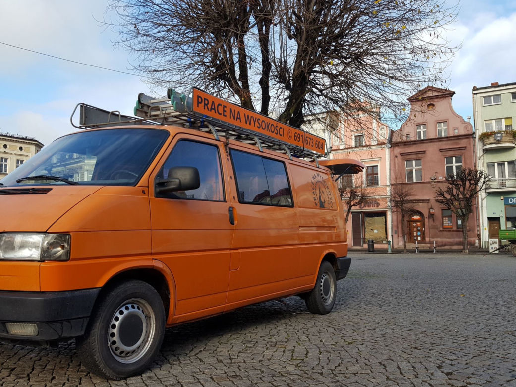 Drzewa na Rynku w Lesznie pod fachową opieką