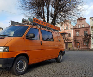 Drzewa na Rynku w Lesznie pod fachową opieką