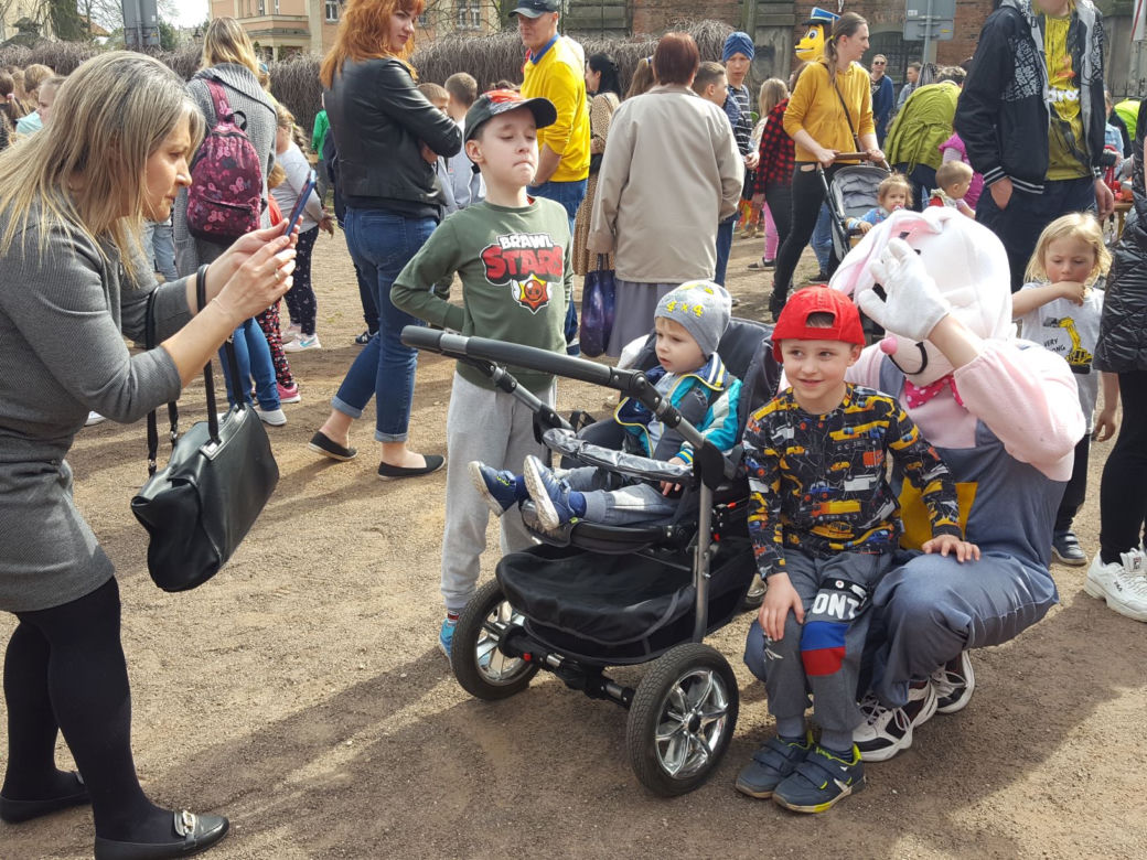 Zające chodzące i z czekolady w centrum Leszna