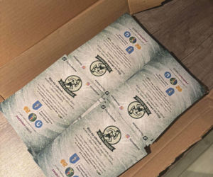 Rizz na zdrowie - projekt uczniów z Olsztyna