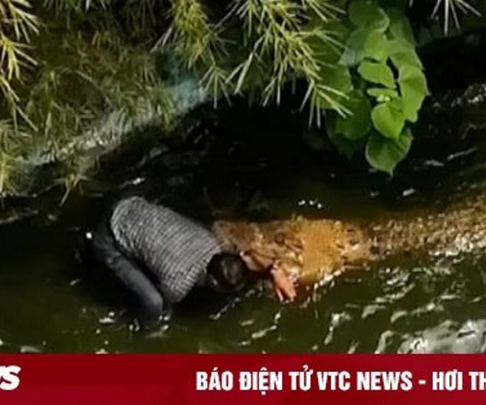 Szok! Myślał, że to zabawka, został pogryziony przez wielkiego krokodyla