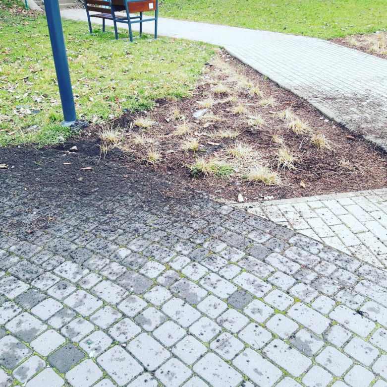 Olsztyn. Wandale dewastują Park Kusocińskiego. Z wiaty niebawem nic nie pozostanie [ZDJĘCIA]