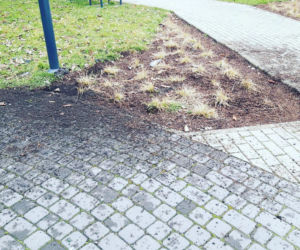Olsztyn. Wandale dewastują Park Kusocińskiego. Z wiaty niebawem nic nie pozostanie [ZDJĘCIA]