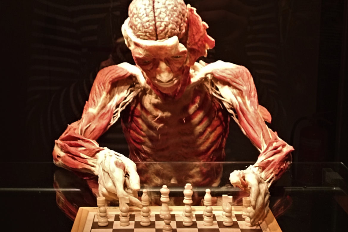 Wystawa Body Worlds w Szczecinie