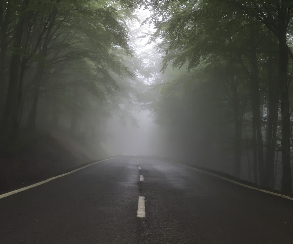 KOSZMARNE warunki na drogach. FATALNE prognozy. Kierowcy będą TONĄĆ we MGLE!