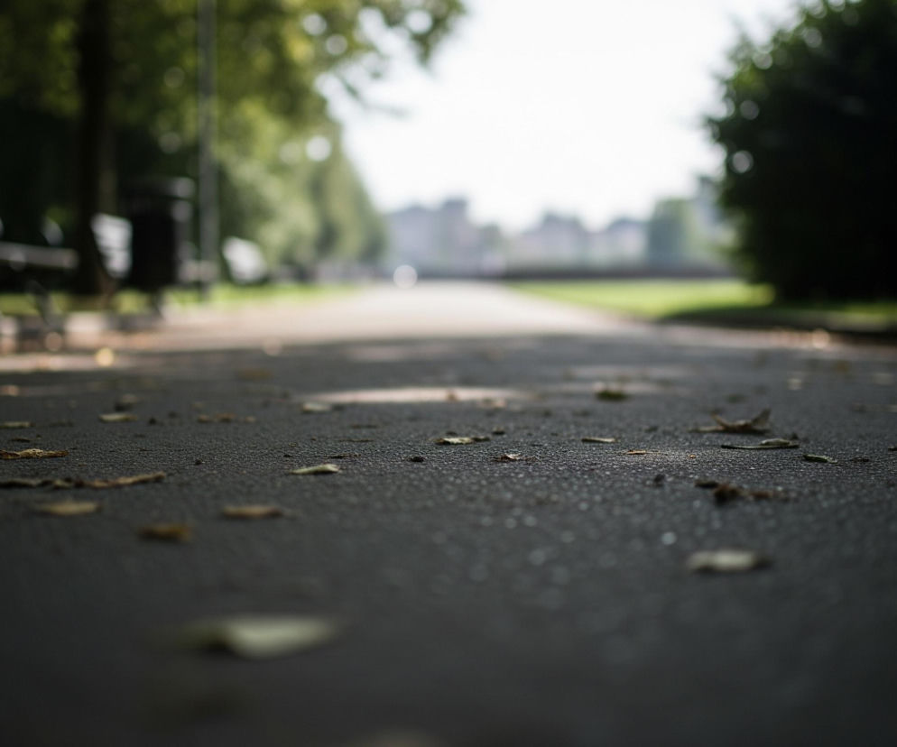 Asfaltowa ścieżka pokryta drobnymi, suchymi liśćmi i patykami biegnie przez centralną część obrazu. Po lewej stronie ścieżki, w tle, znajduje się ciemna ławka parkowa, a za nią widać zieleń drzew. Po prawej stronie w tle również rozciąga się zielony obszar krzewów i drzew. W oddali, w górnej części obrazu, widoczny jest rozmyty zarys budynków na tle jasnego nieba.