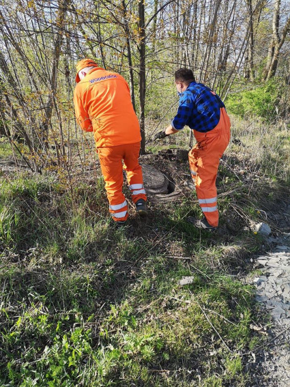Łódź: Ktoś ZATRUŁ rzekę Olechówkę