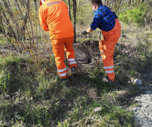 Łódź: Ktoś ZATRUŁ rzekę Olechówkę