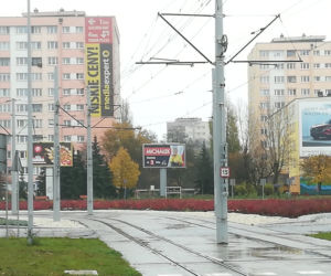 W Toruniu wiszą nielegalne plakaty wyborcze. 31 decyzji karnych!