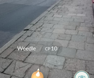 Pokemony opanowały Lublin