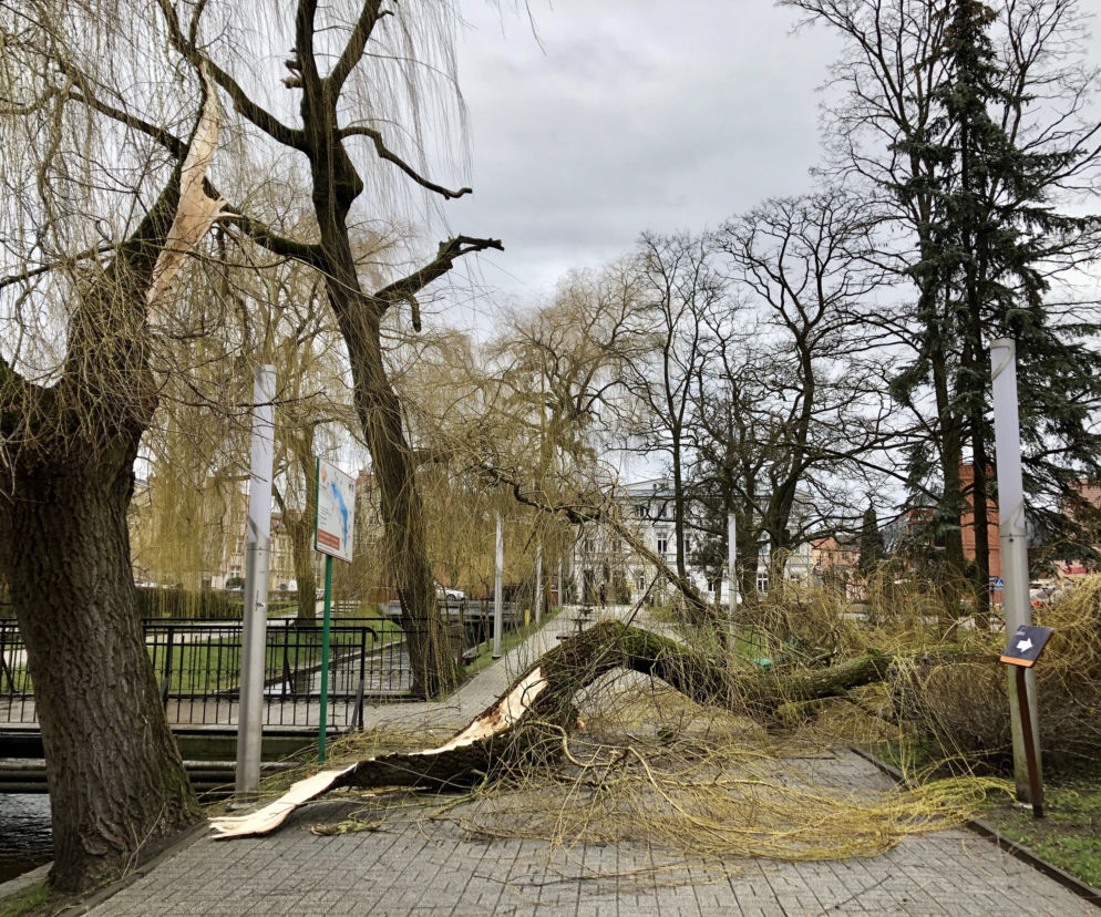 Skutki wichury nad Szczecinkiem