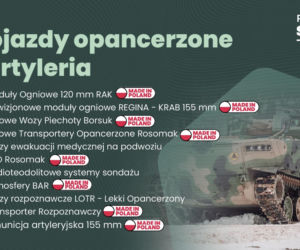 Lista programów SAFE