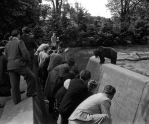 Zoo we Wrocławiu ma już 155 lat