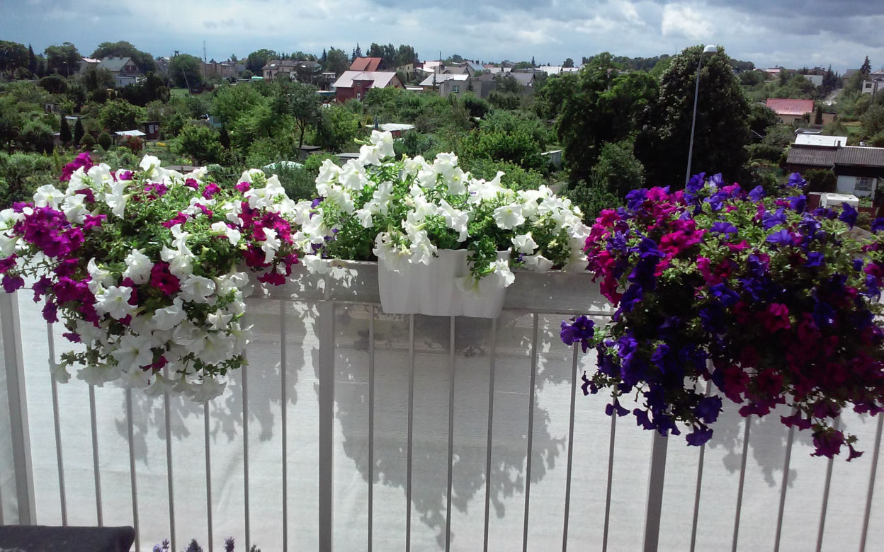 Najpiękniej zaaranżowany balkon 2015 zdjecie nr 3