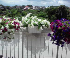 Najpiękniej zaaranżowany balkon 2015 zdjecie nr 3