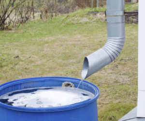 Od rynny po automatykę – jak zaplanować system zbierania wody opadowej?