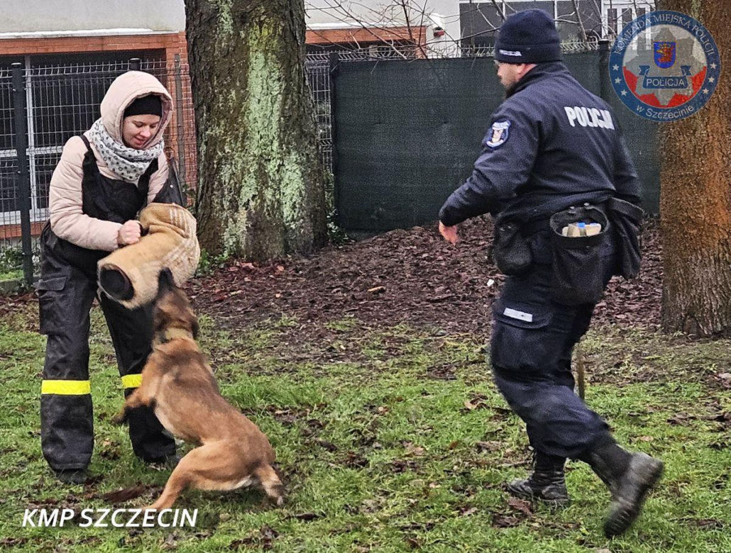 Nowe psy w zachodniopomorskiej policji