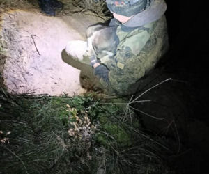 Raciąż. Szczeniaki uwięzione pod ziemią. Ratującym je ludziom groziło wielkie niebezpieczeństwo! [WIDEO, ZDJĘCIA]
