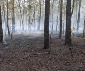 Pożar pod legionowej, czarna struga