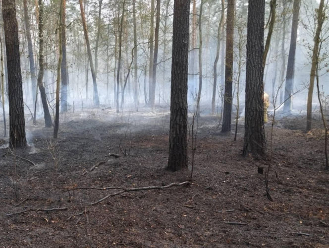 Pożar pod legionowej, czarna struga