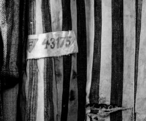 Miejsce Pamięci i Muzeum Auschwitz