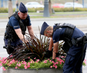 Policjanci grzebią w śmietnikach i kwietnikach w centrum Warszawy