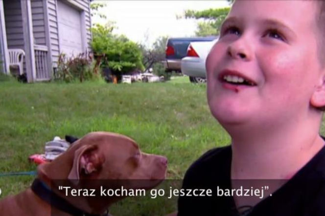 Pies uratował dziecko z pożaru. Pitbull bohaterem USA 