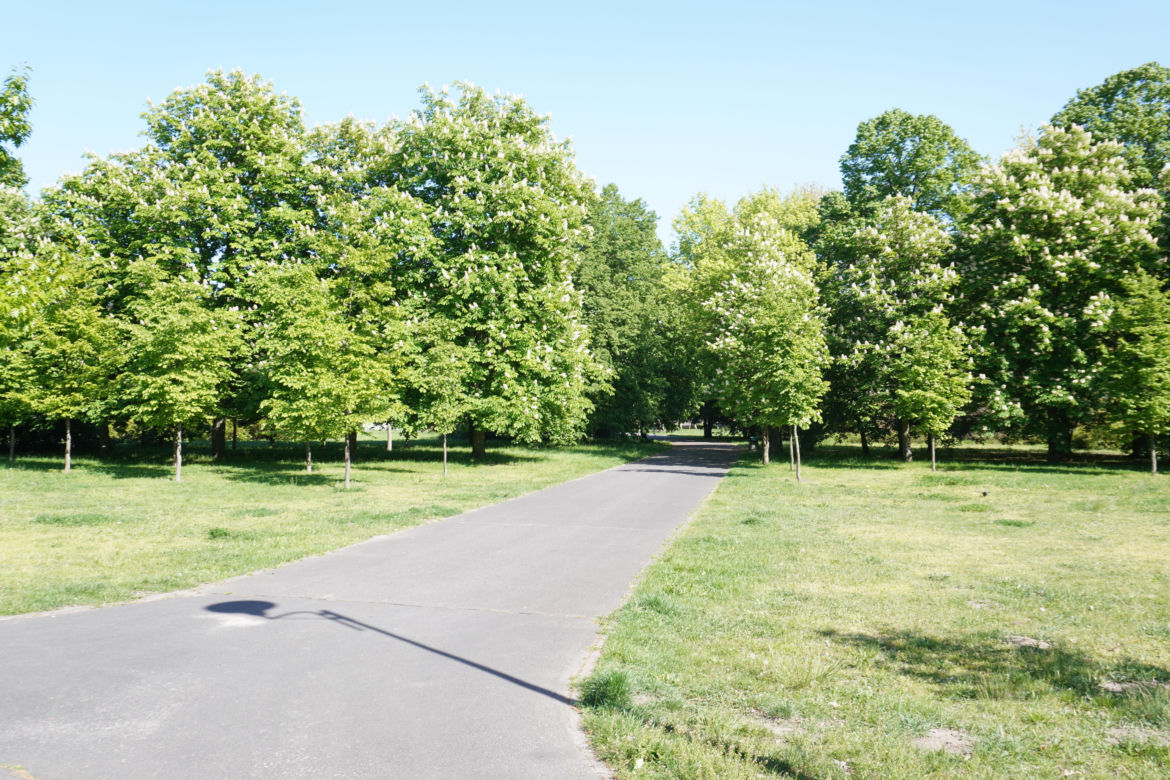 5. Park Jana Pawła II