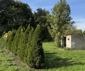 Zabójstwo w Łubkach pod Nałęczowem. Zabił kolegę, bo nazwał go „Kozieł”