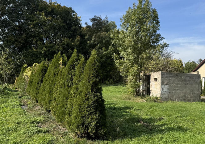 Zabójstwo w Łubkach pod Nałęczowem. Zabił kolegę, bo nazwał go „Kozieł”