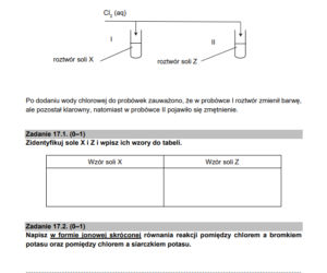 Matura z chemii 2021 - arkusz PDF