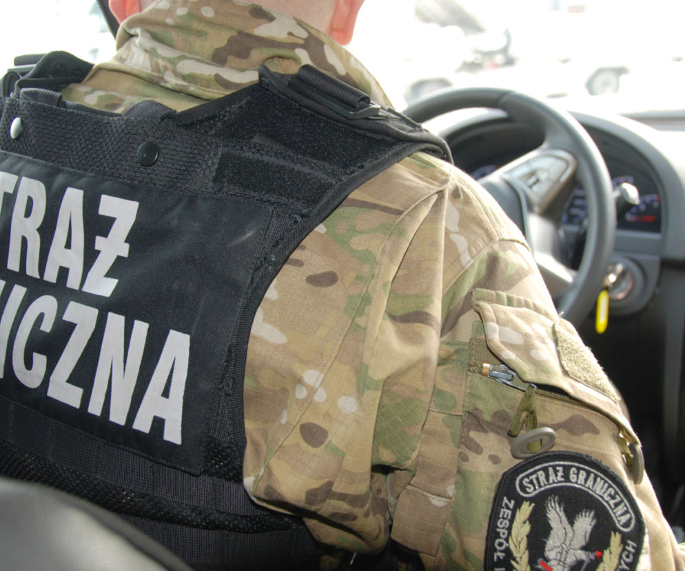 Gdańsk: AWANTURA na lotnisku! Pijany pasażer wpadł w szał i ZAATAKOWAŁ stewarda!