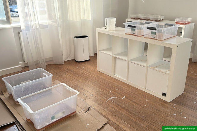 Laboratorium mefedronu w domu w Wawrze