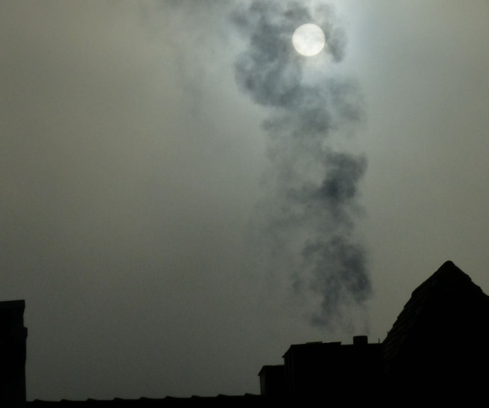Smog w Toruniu. Za śmieci w piecu srogie kary