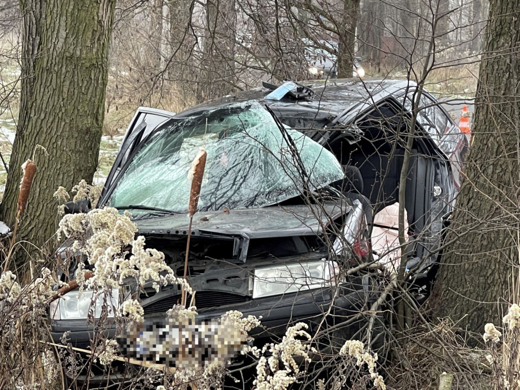 Tragedia pod Wołominem. Wypadła z drogi, rozbiła się na drzewie. 19-latka nie żyje
