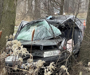 Tragedia pod Wołominem. Wypadła z drogi, rozbiła się na drzewie. 19-latka nie żyje