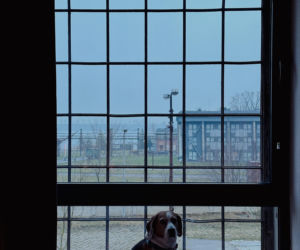 Hotel Cukrownia Żnin - Grupa Arche