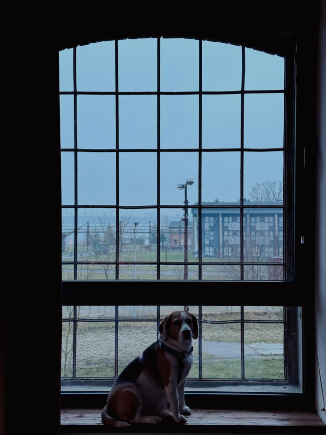 Hotel Cukrownia Żnin - Grupa Arche