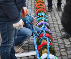 35 metrów i 80 centymetrów liczy palma, która zwyciężyła tegoroczny konkurs palm w Lipnicy Murowanej
