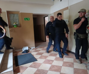 Psy służbowe, szkolenia i strefa pierwszej pomocy. Trwa drugi dzień CERBERUS K9 w Ostrowie